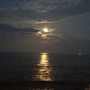 Meet your Posher, SL